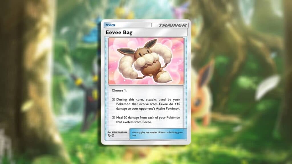 Eevee Bag (Image via esports.gg)