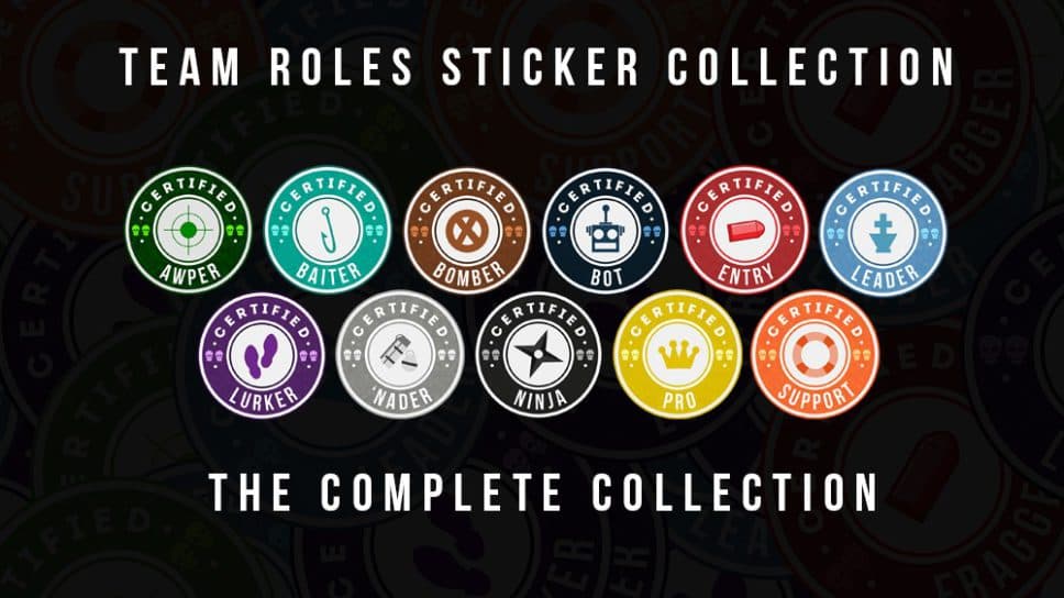 The Importance of CS:GO Roles cover image