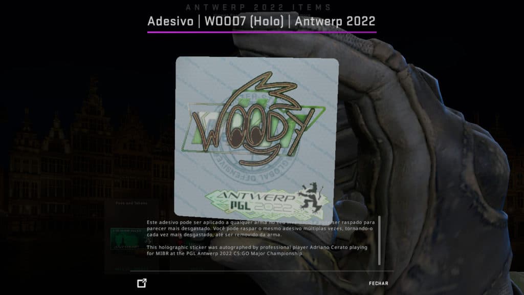 Adesivo do WOOD7 - Foto: Reprodução/Valve