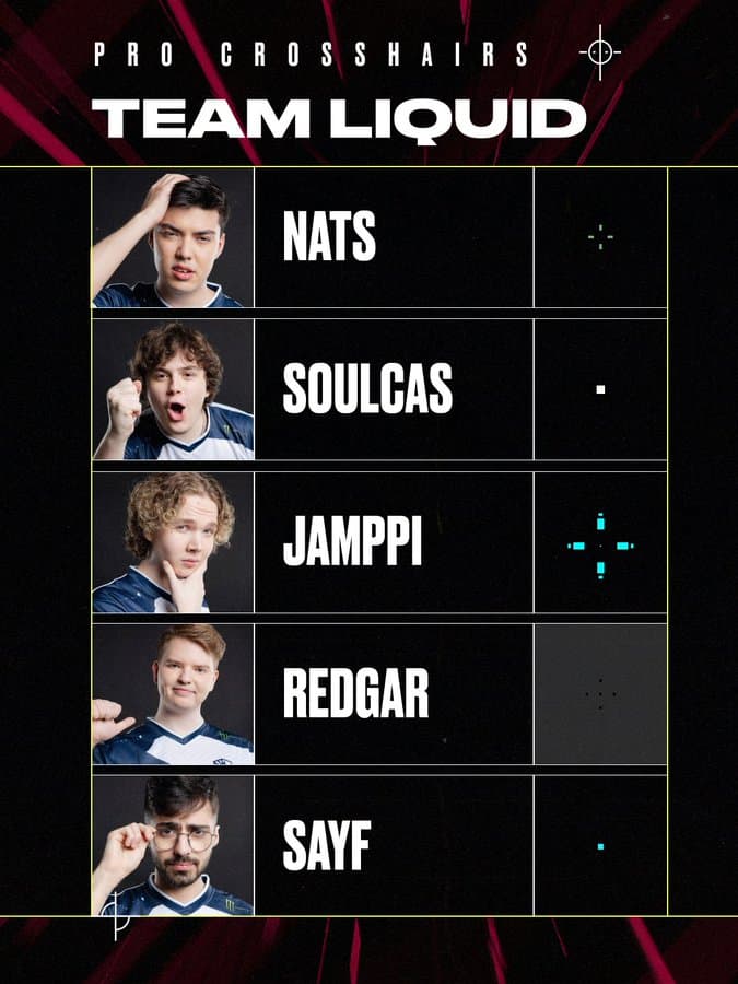 Team Liquid VALORANT crosshair. Image Credit: VALORANT esports