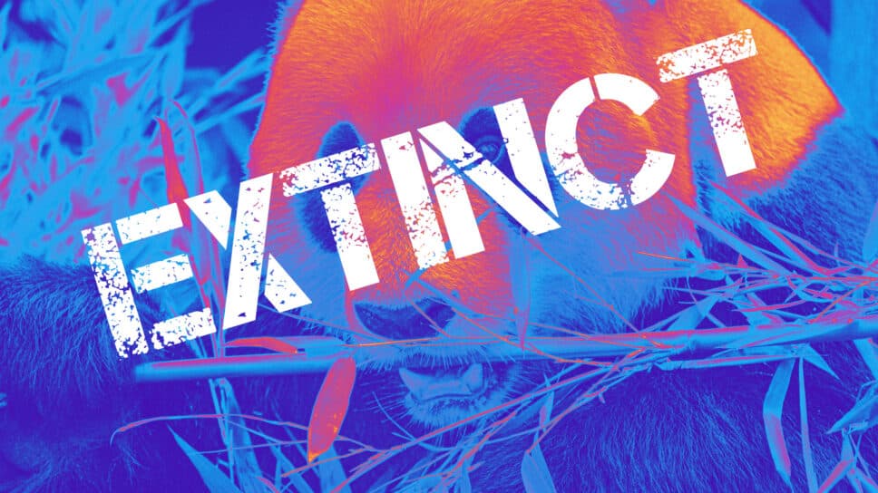 Chengdu Hunters disband? OWL team omitted from upcoming season schedule cover image