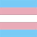 Transgender Flag (Image via Blizzard Entertainment)