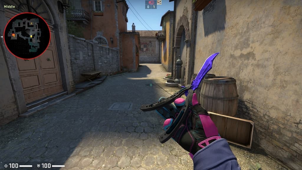 CS:GO Sapphire Butterfly Knife (Image via Steam)