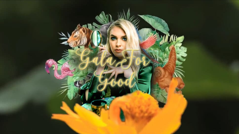 QTCinderella’s The Gala for Good raises funds for rainforest preservation organizations cover image