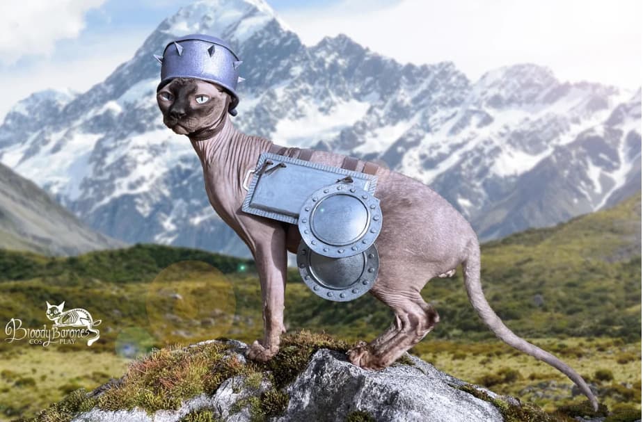 BloodyBaronessCos's cat as Catwell from Elder Scrolls (image via /u/BloodyBaronessCos on Reddit)