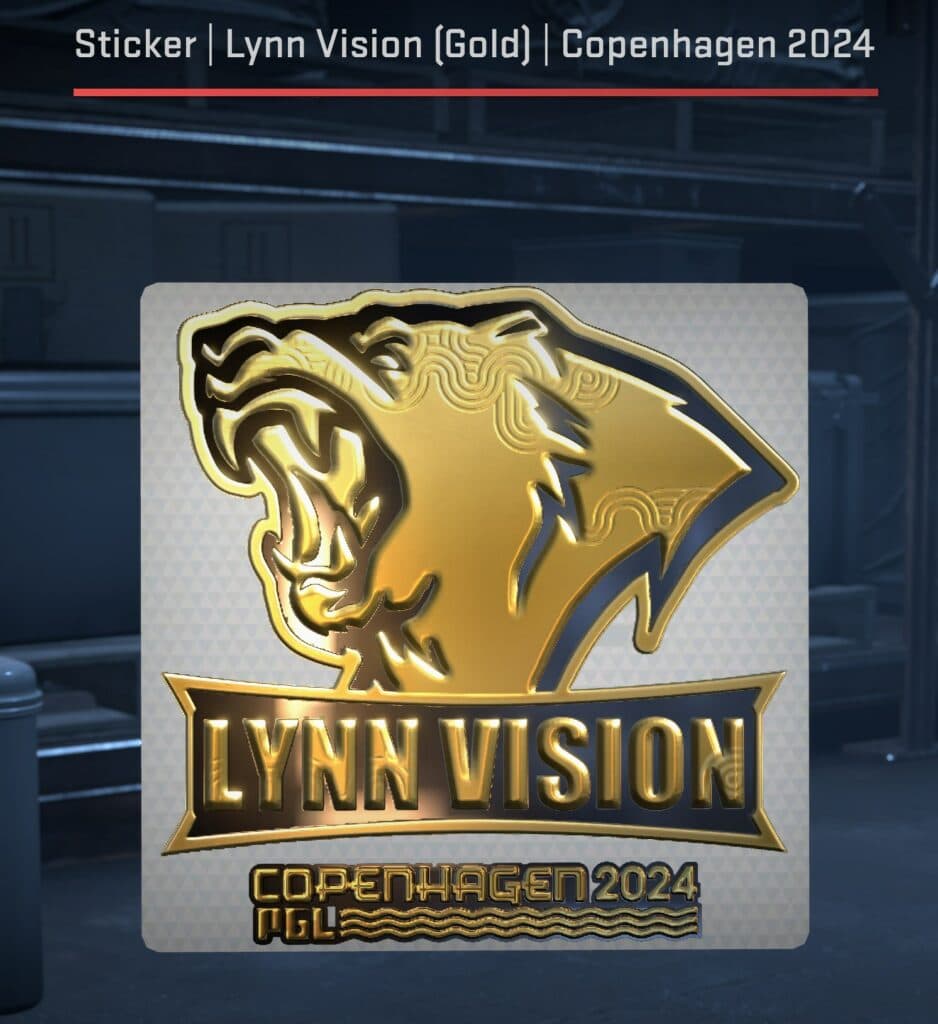 Lynn Vision