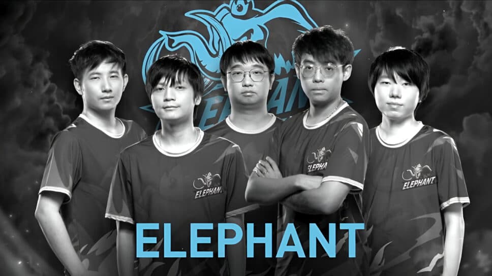 Somnus is back? Yang announced the Elephant reunion on stream cover image