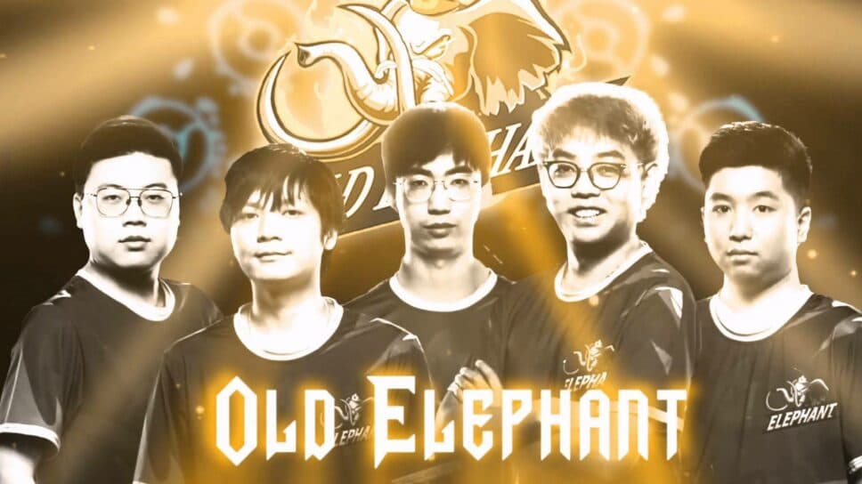 Who are Team Turtle? Somnus and Chalice reunite for a TI2024 comeback cover image