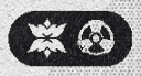 Miyabi's Element icon, currently unknown