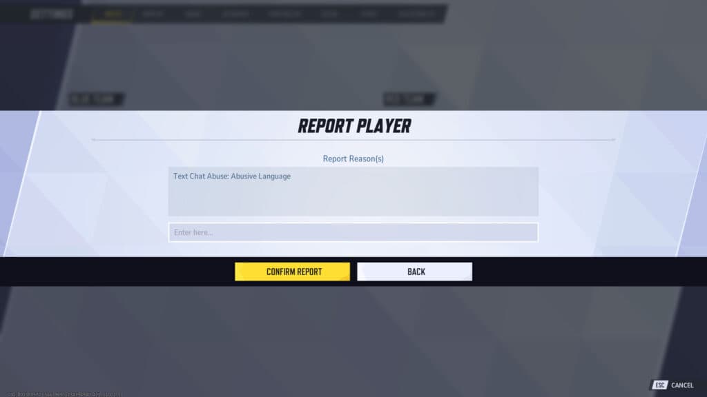 Give any additional details and confirm your report (Screenshot by esports.gg via NetEase Games)