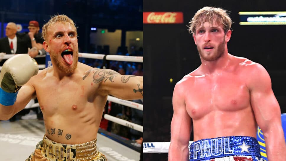 Family Feud: Paul Brothers addition: Logan and Jake Paul to seemingly fight each other this March cover image