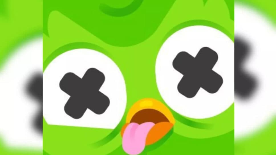 Memes flow as Duo, the Duolingo owl, becomes the hottest topic upon death cover image