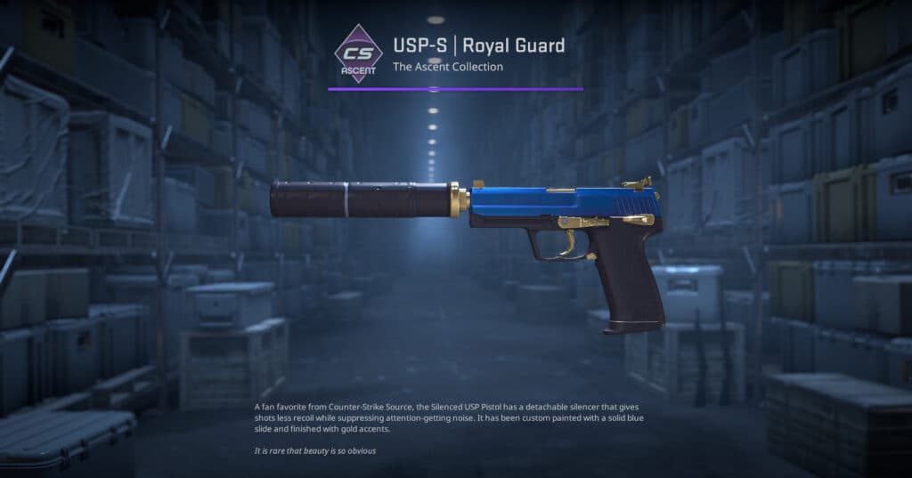 USP-S Royal Guard. (Screenshot by esports.gg)