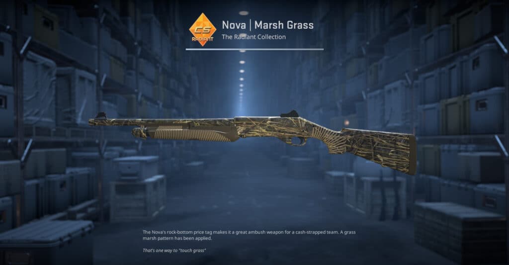 Nova Marsh Grass. (Screenshot by esports.gg)