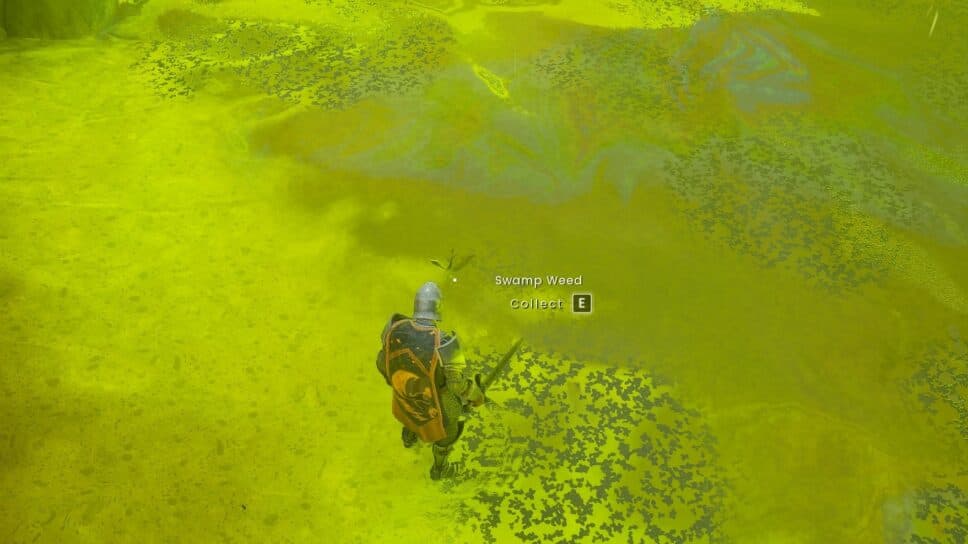 How to get Swamp Weed & Thread in RuneScape: Dragonwilds cover image