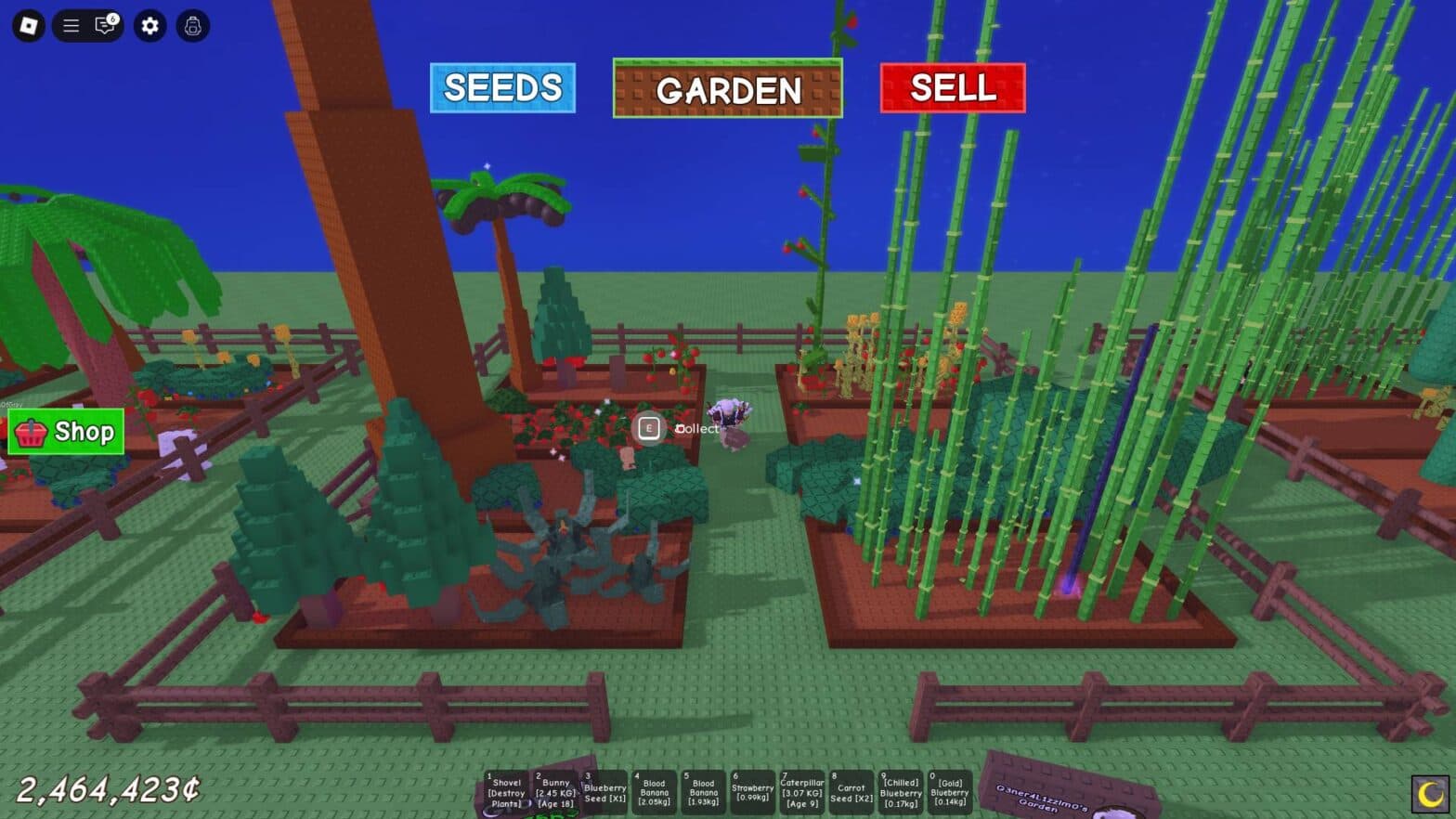 Most expensive fruits in Grow a Garden, ranked