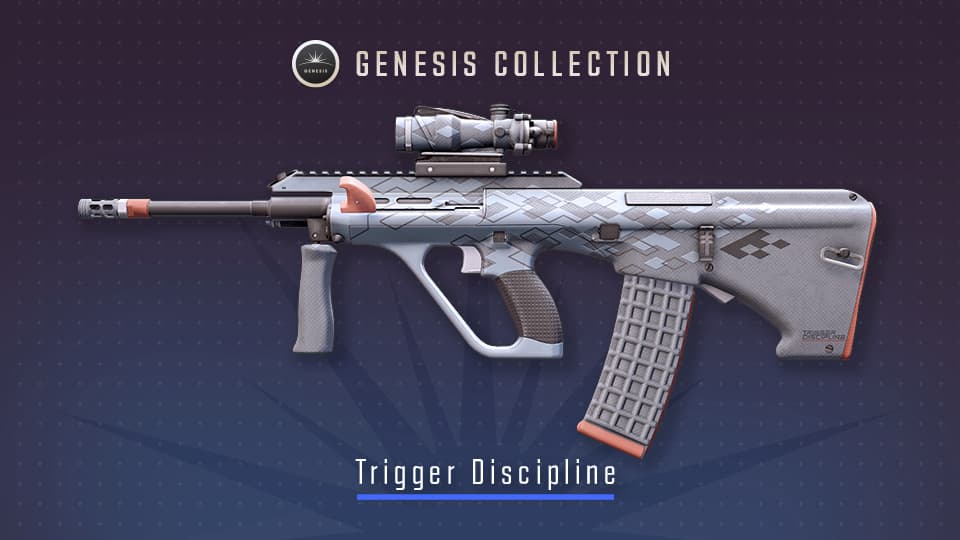 Trigger Discipline, a Mil-Spec AUG skin (Image via Valve)