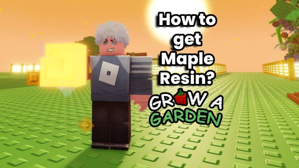 How to get Maple Resin in Grow a Garden cover image