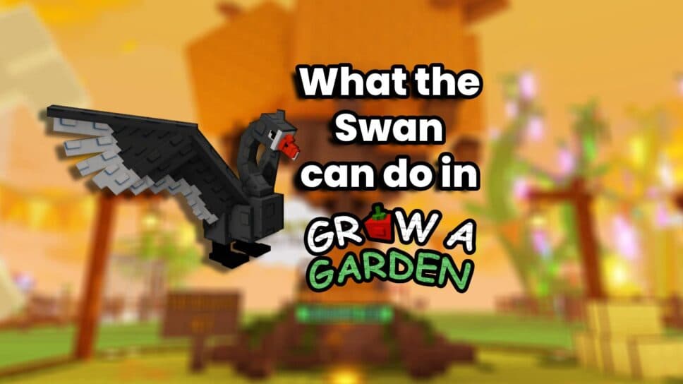 What does the Swan do in Grow a Garden cover image