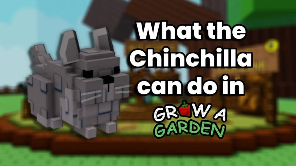 What does the Chinchilla do in Grow a Garden? cover image