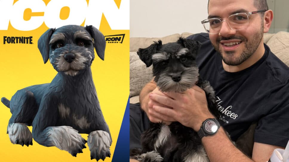 CouRageJD’s dog Louis to be the first Fortnite Icon Series Sidekick cover image