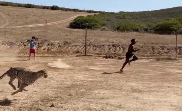 IShowSpeed races Cheetah, almost winning, then gets attacked immediately after