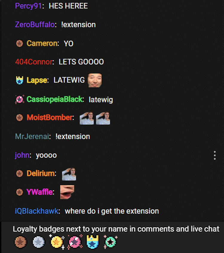 Ludwig's chat