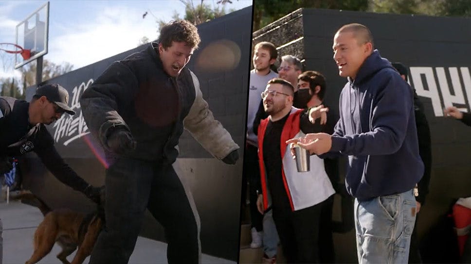 100 Thieves content creators mauled by Pablo the dog as Channing Tatum watches on cover image