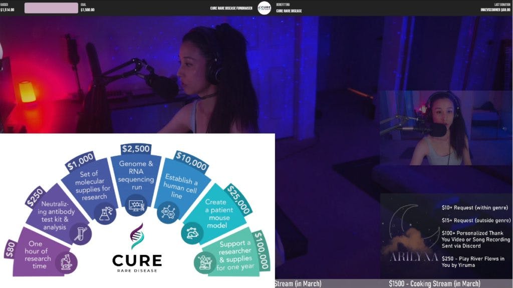 Arilyna took time on her stream to explain the work Cure Rare Disease is doing and to explain their mission