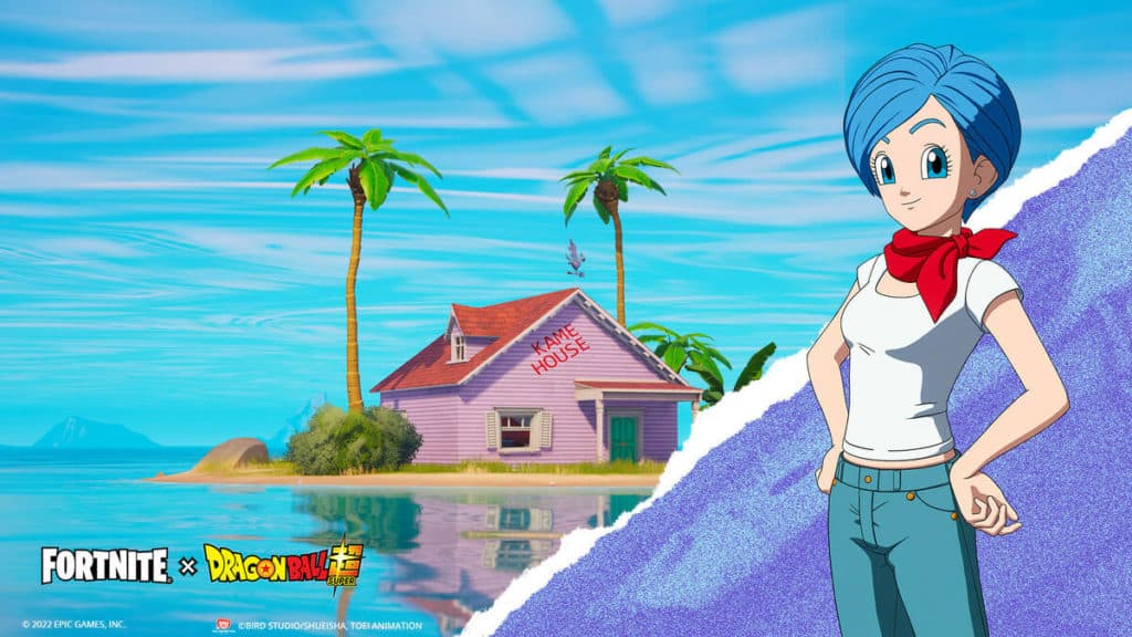 Bulma NPC located at the Kame House