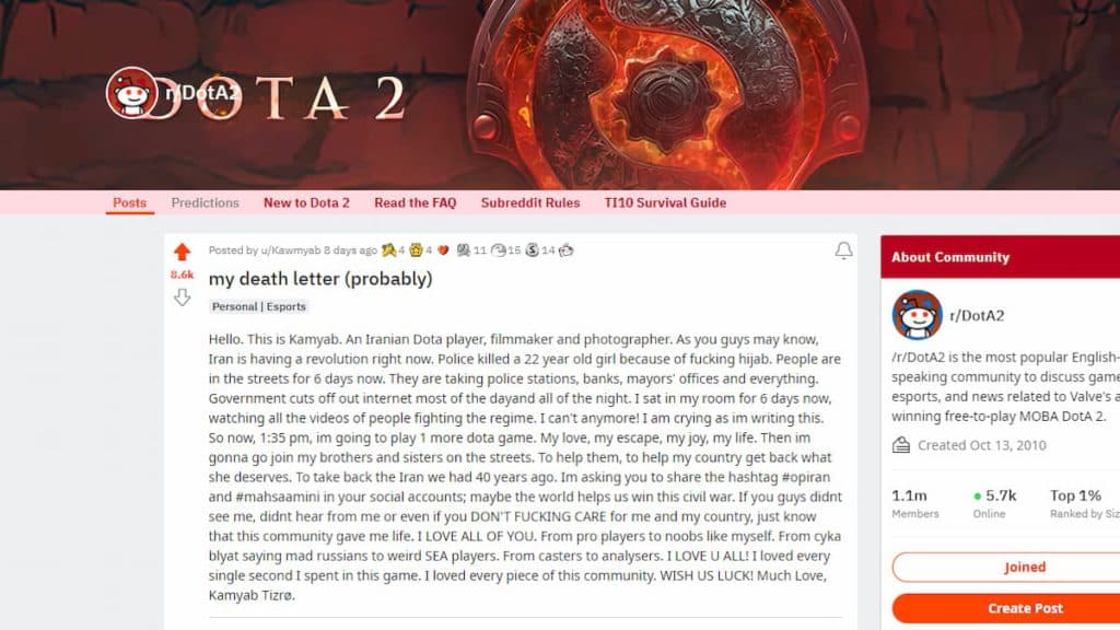 Kamyab Tizrø's post on the Dota 2 subreddit (Image via Reddit)