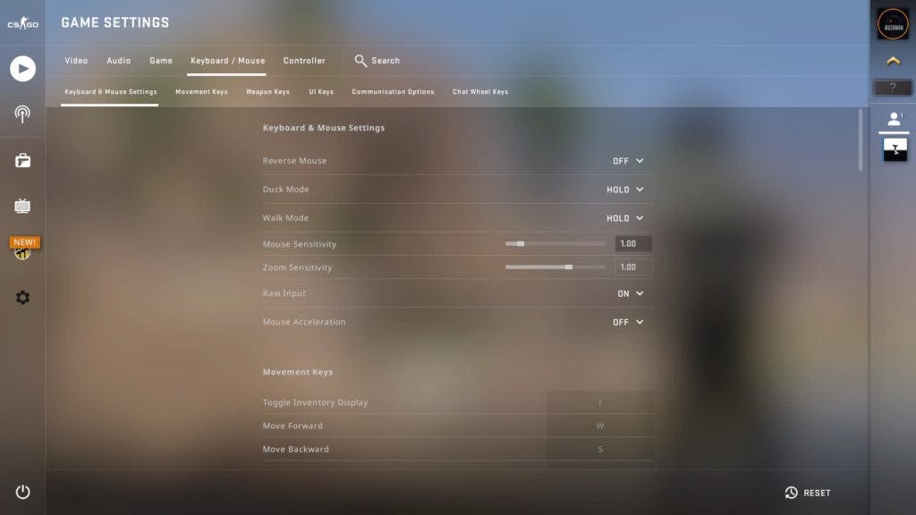 The Settings menu makes it easy to find your CS:GO sensitivity (Image via Esports.gg)