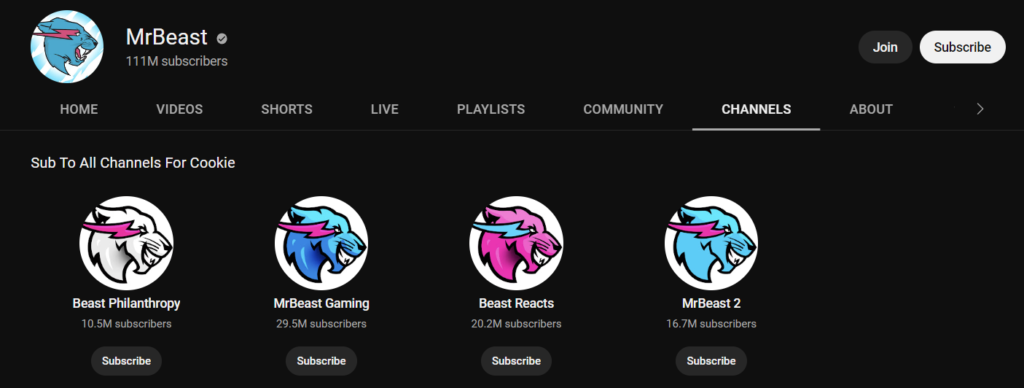 MrBeast's five YouTube channels: MrBeast, Beast Philanthropy, Beast Gaming, Beast Reacts, and MrBeast 2.