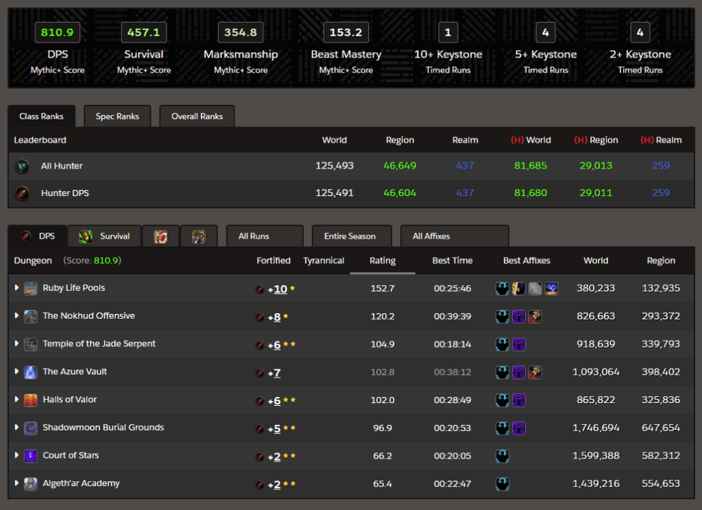 <em>A look at the stats-tracking on Raider.IO</em>