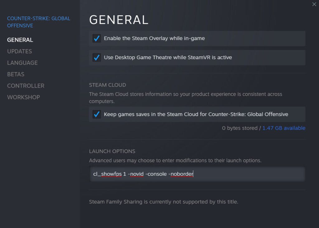 What are the best CS: GO launch options? |