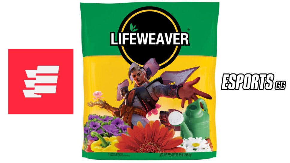 Overwatch Lifeweaver guide: Grow a better strategy and save lives cover image
