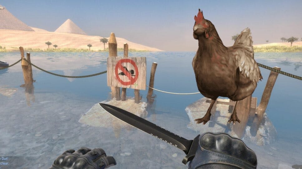 What the Cluck? Chickens can now swim in CS:GO cover image