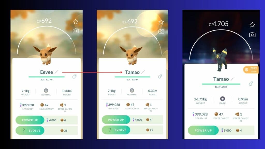 How to get Umbreon in Pokémon GO (Images via Niantic, Inc.)