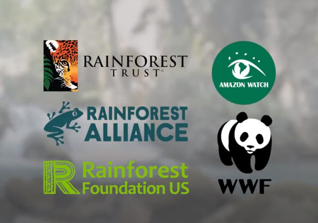QTCinderella's The Gala for Good raises funds for rainforest preservation organizations