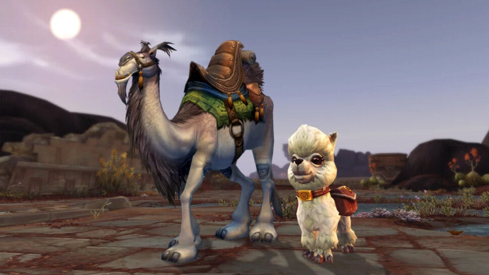 World of Warcraft players get free Dottie pet and White Riding Camel mount cover image