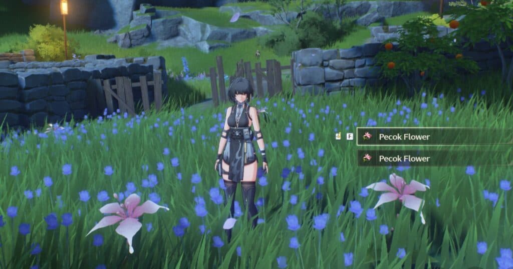 <em>Pecok Flowers (image via esports.gg)</em>