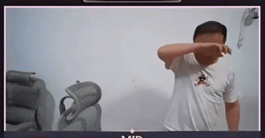 bLink cried after Team Zero qualified to the TI2024 (Image via PGL on Twitch)