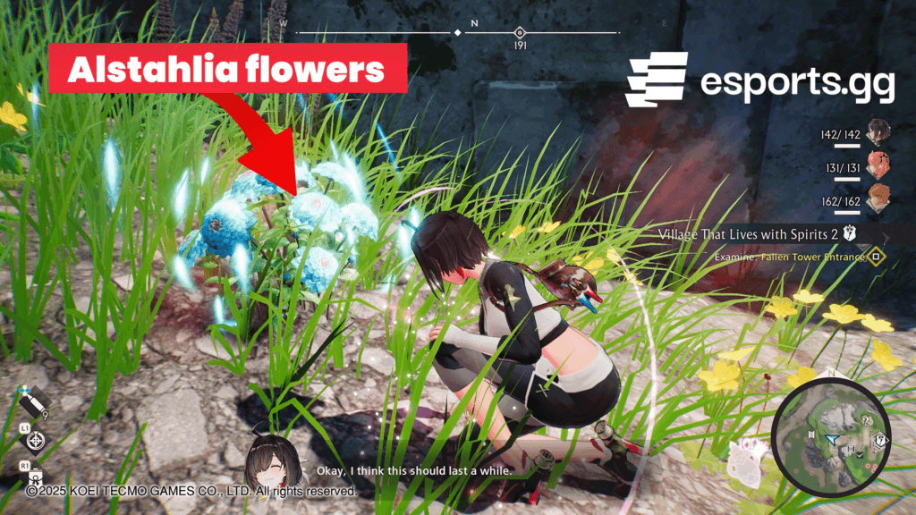 Interacting with a Alstahlia flower will restore 60% of your energy