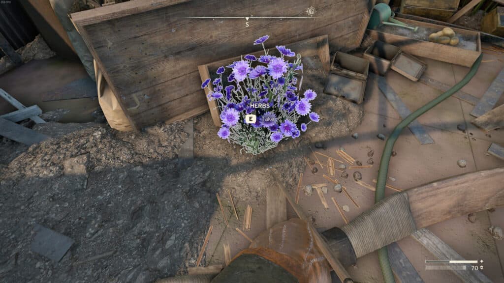 What Herbs look like. Screenshot by esports.gg