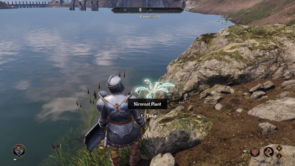 Finding a Nirnroot near Bawn, an Ayleid ruin southeast of Bravil. Screenshot via esports.gg