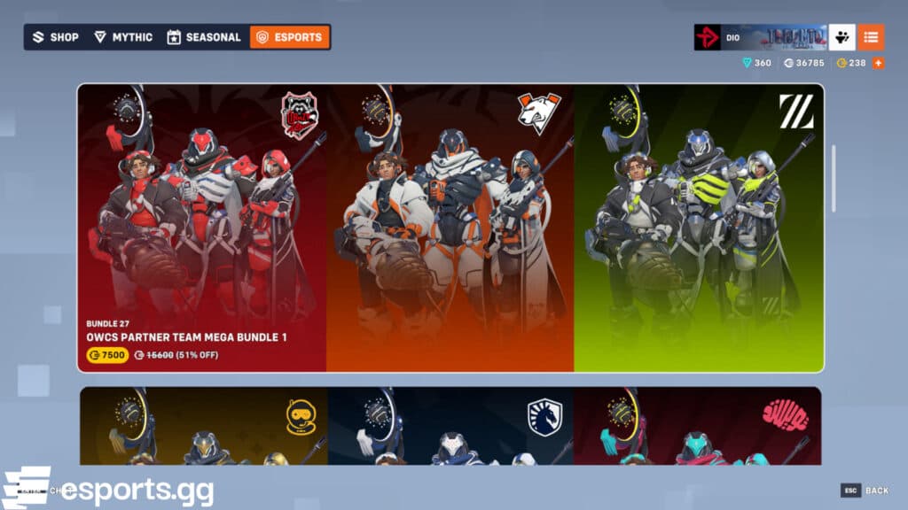OWCS Partner Team skins (Screenshot via esports.gg)