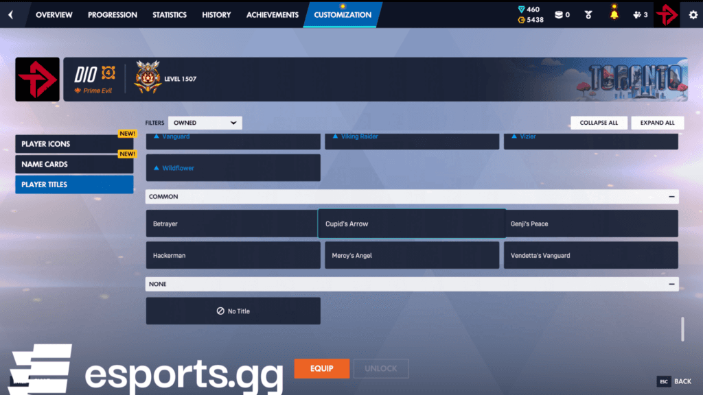 This is where the Cupid's Arrow player title is located as well (Screenshot via esports.gg)