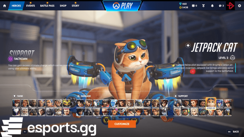Jetpack Cat is a support hero in Overwatch (Screenshot via esports.gg)